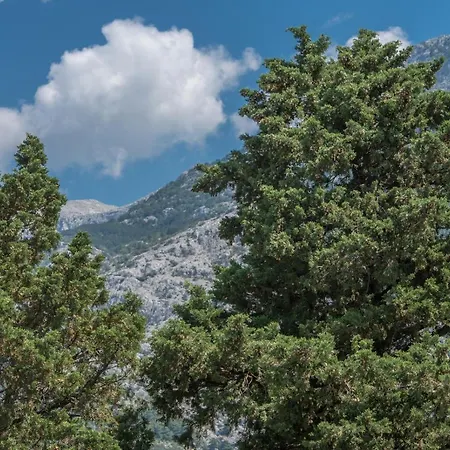 East Side Deluxe Lejlighed Makarska